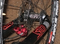 Scotti 10