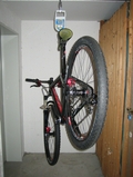 Scotti 11