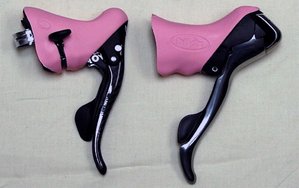 Paris Pink