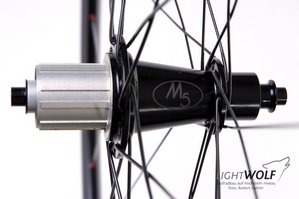lw m5