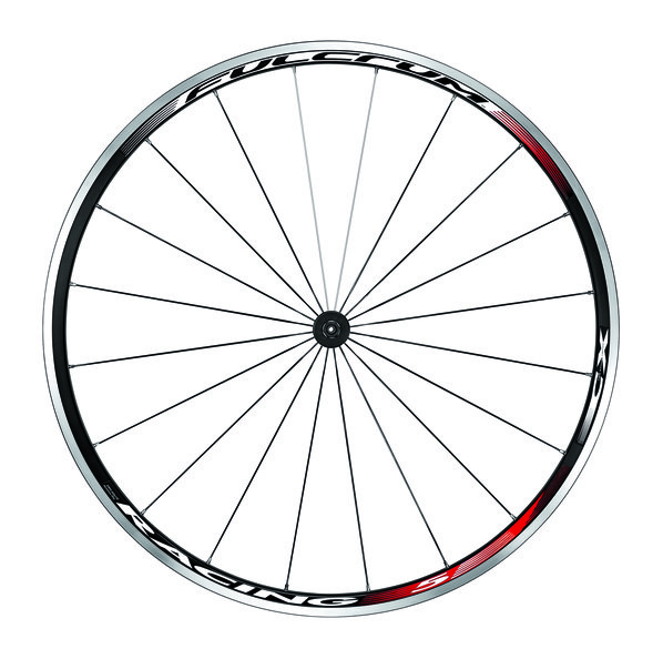 Rac5cx ant