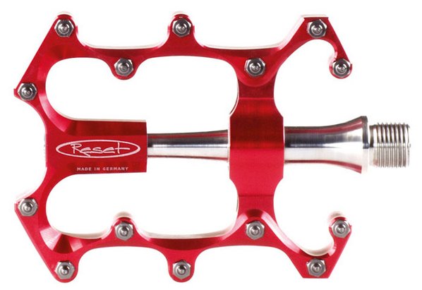 3597 pedal1 web big