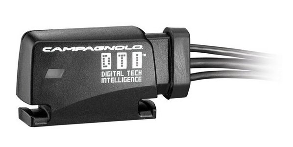 campy elec 03